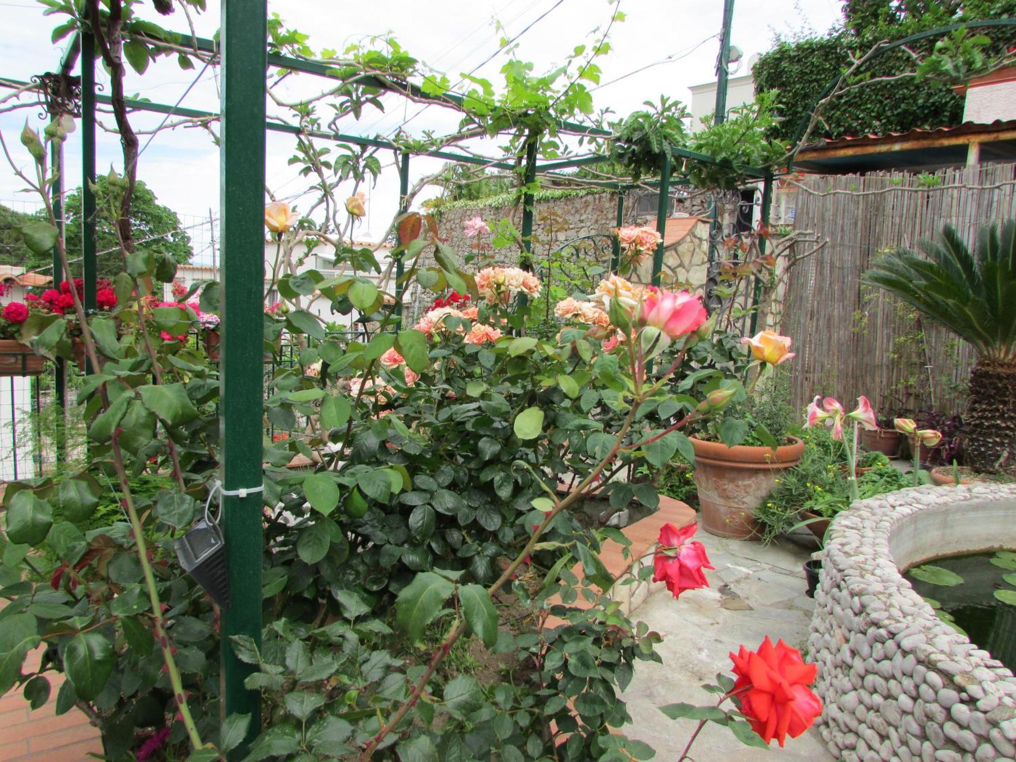 Palazzo A Mare Bed and breakfast