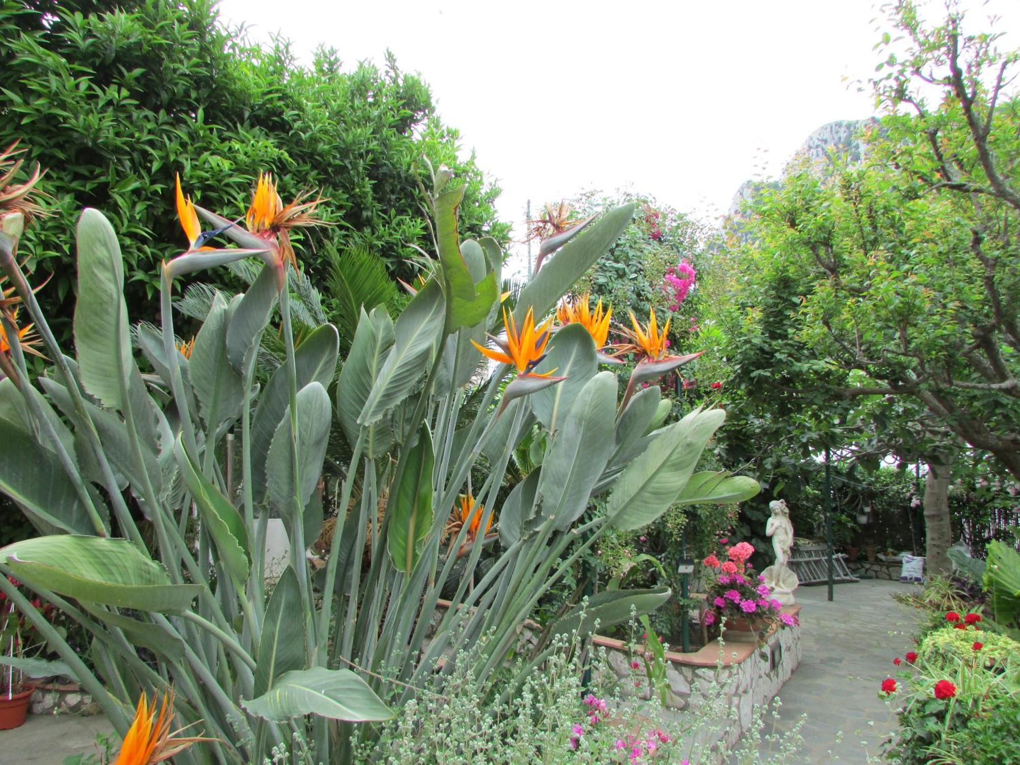 Bed and breakfast Palazzo A Mare