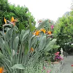 B&B Palazzo A Mare